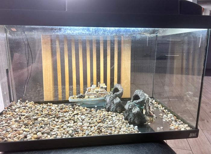 Fish tank