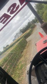 Headge cutting