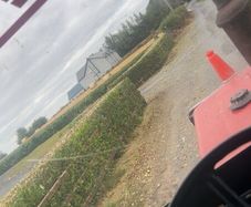 Headge cutting