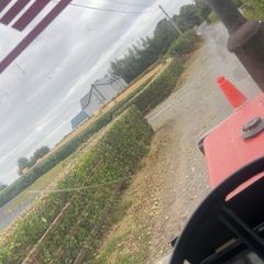 Headge cutting