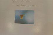 Signed Phil Coulter vinyl  Lp