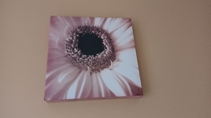 Canvas x 3