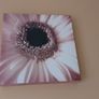 Canvas x 3 Image 4
