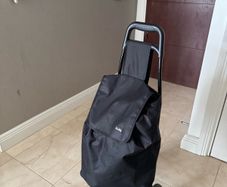 rolling grocery cart