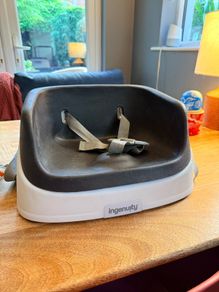 Ingenuity Booster Seat