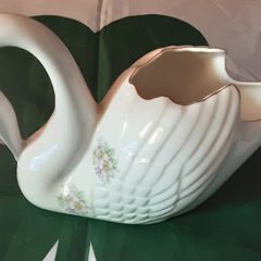 Royal tara swan
