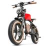 HIDOES B10 Electric Bike Image 5