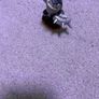 skylanders Image 2
