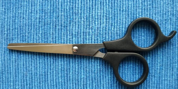 Scissors