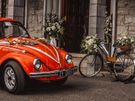 VW Vintage Beetle Image 4