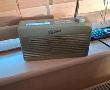 Rambler Mini FM/DAB+ Digital Radio in Leaf Green