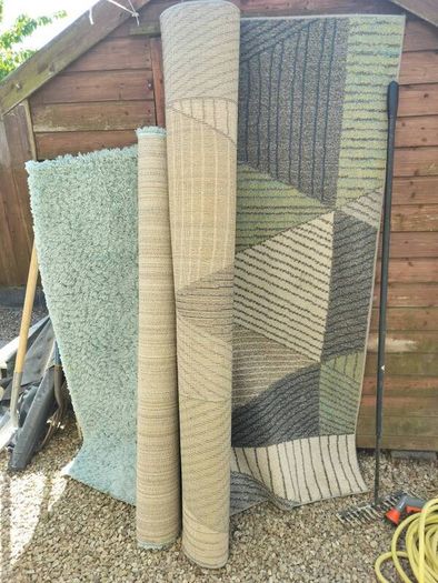 2 large rugs, free, no stains, just dusty