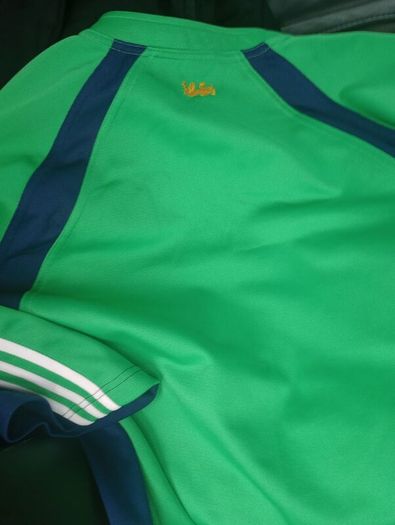 adidas lions jersey