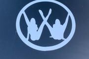 VW Sexy logo Golf Passat T4 T5 Jetta 30cm x 30cm