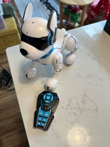 Robot Dog