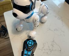 Robot Dog