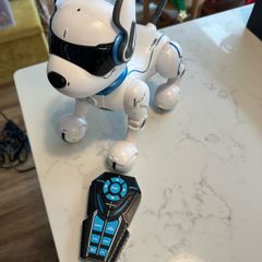 Robot Dog