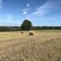Parklandsted