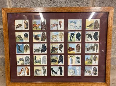 Framed Cigarette Cards