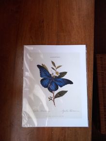 print