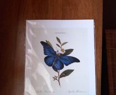 print