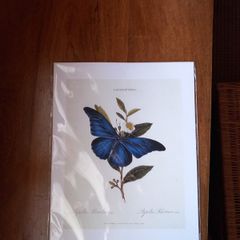 print