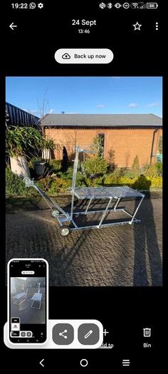 Sheep grooming stand
