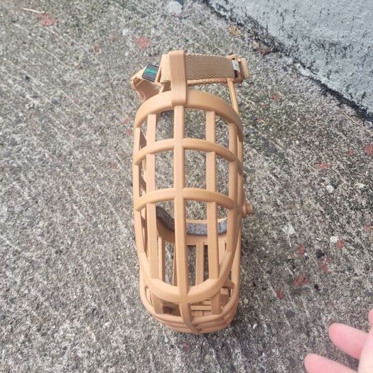 large dog muzzle