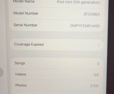 ipad mini 5