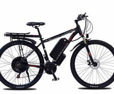 AKEZ 29 Inch 1000W Electric Cruiser Bike