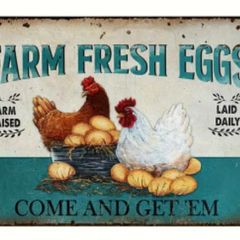 Farm Fresh Eggs : Metal Sign