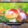 LG 43-inch 4K Ultra HD Smart TV Image 3