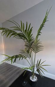 Large Artifical Palm Tree