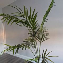 Large Artifical Palm Tree