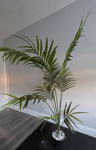 Large Artifical Palm Tree