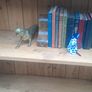 Huge Old Pine Shelves Book Etc Image 5