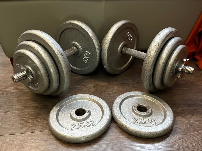 2x19.6kg adjustable cast iron dumbbells