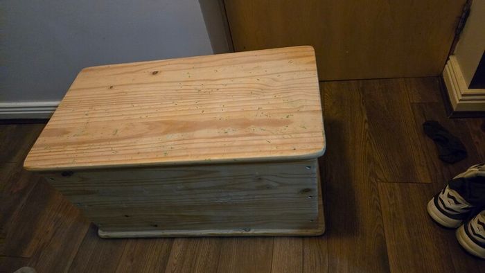 Storage trunk box