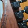 ESP LTD SN1000HT Fire Blast. EMG Demonium (Jim root) pickups Image 4
