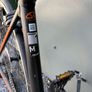 Giant contend Image 3