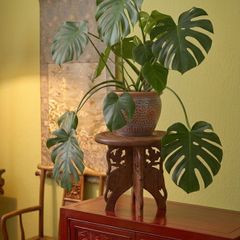 Mid Century indian hardwood and inlay elephant plant stand
