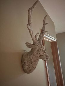 Stags Head