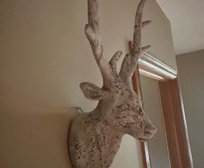 Stags Head