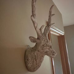 Stags Head