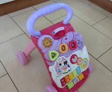 Push walker