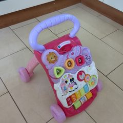 Push walker