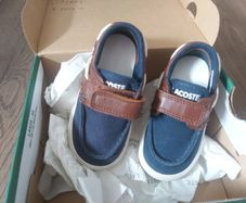 Lacoste boy's shoes
