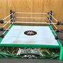 WWE Bloodline Rules Wrestlemania XL wrestling ring Image 3