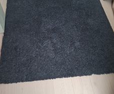 Shaggy blue rug