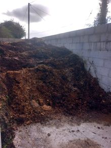Rotted manure.